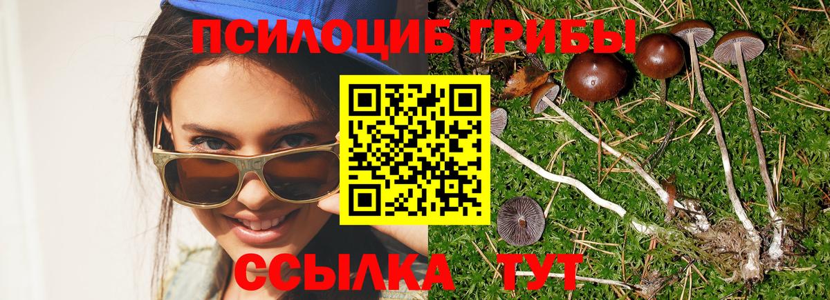Новый Уренгой  Галлюциногенные грибы мухоморы  Галлюциногенные грибы GOLDEN TEACHER  Вход с VPN 